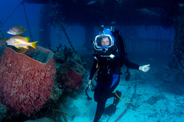 Sylvia Earle_Ep660____Carausel_910x607-2