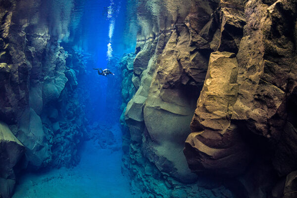 Sylvia Earle_Ep660____Carausel_910x607-3