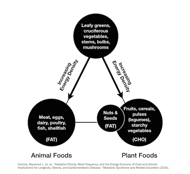 By popular demand, this is Ray & Julieanna’s food triangle